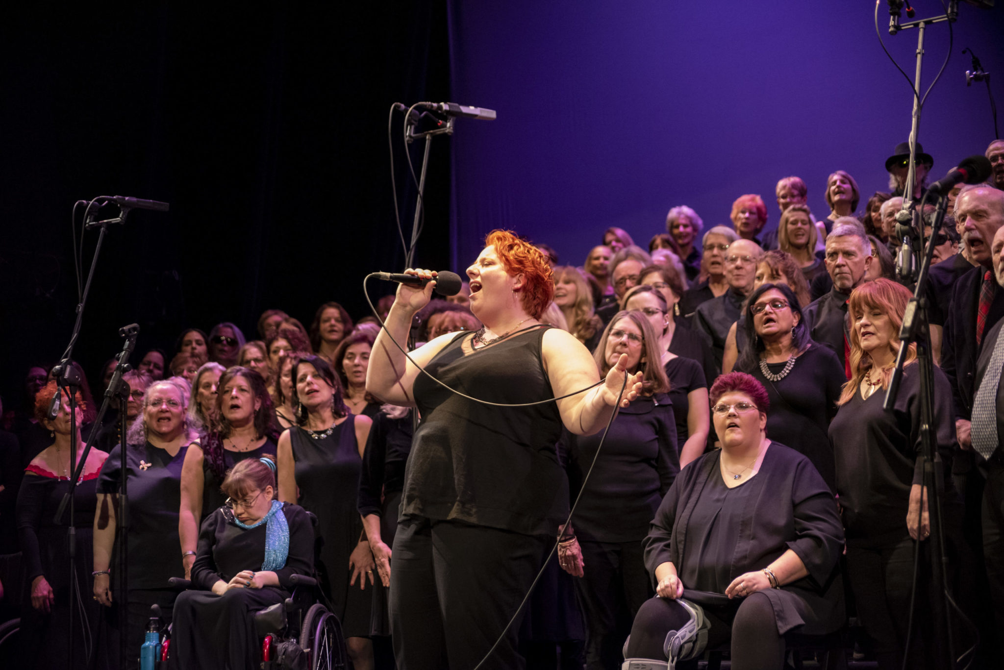 About Rock Voices Rock Voices